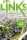 Key Links for Hungary A2 Workbook