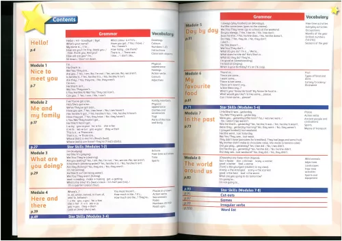 Young Stars 4 Workbook